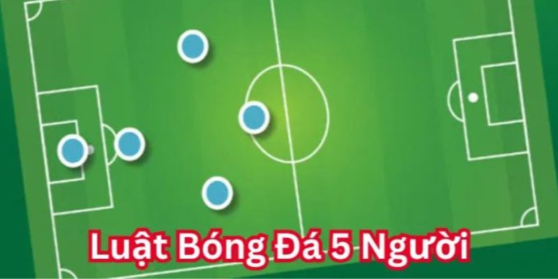 Tuân thủ các nguyên tắc đã được đề ra trong luật
